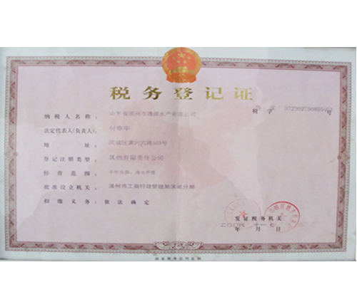 税务登记证