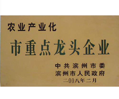 农业产业化市重点龙头产业