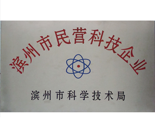 民营科技企业