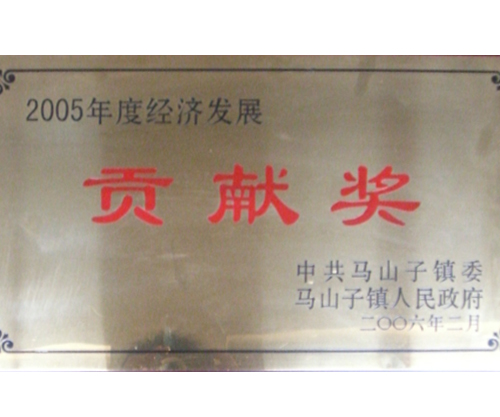 经济发展贡献奖